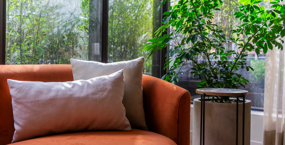 Diseño slow: la tendencia que transforma tu hogar y cómo lo habitas