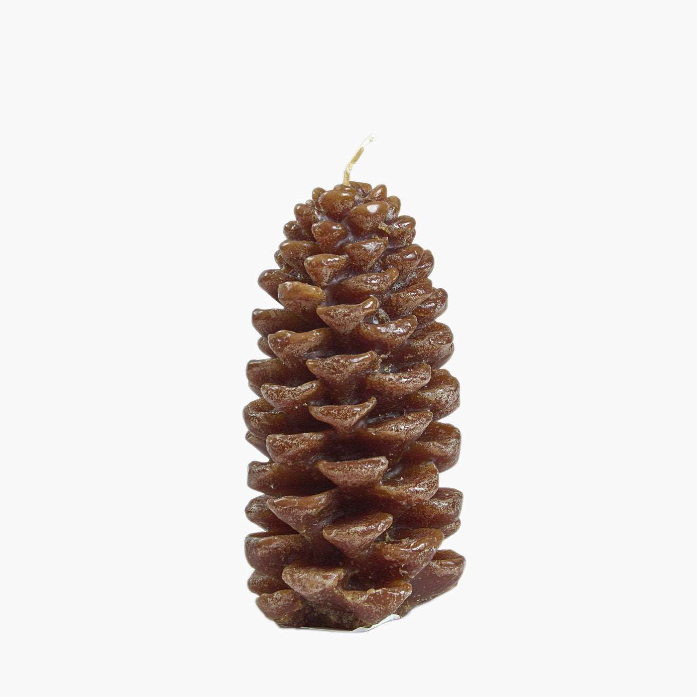 Vela Piña marzoatelier